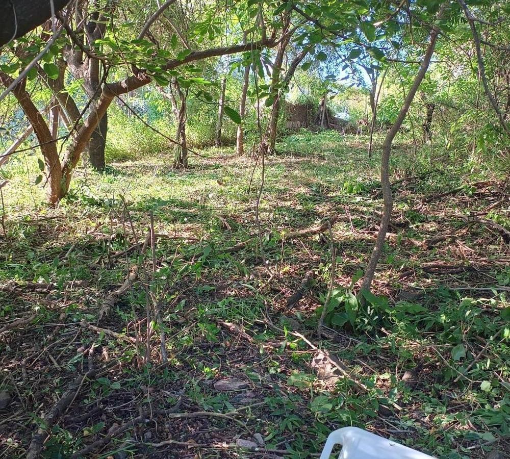 Foto de SE VENDE LOTE EN MENDIOLAZA CORODBA, imagen 1