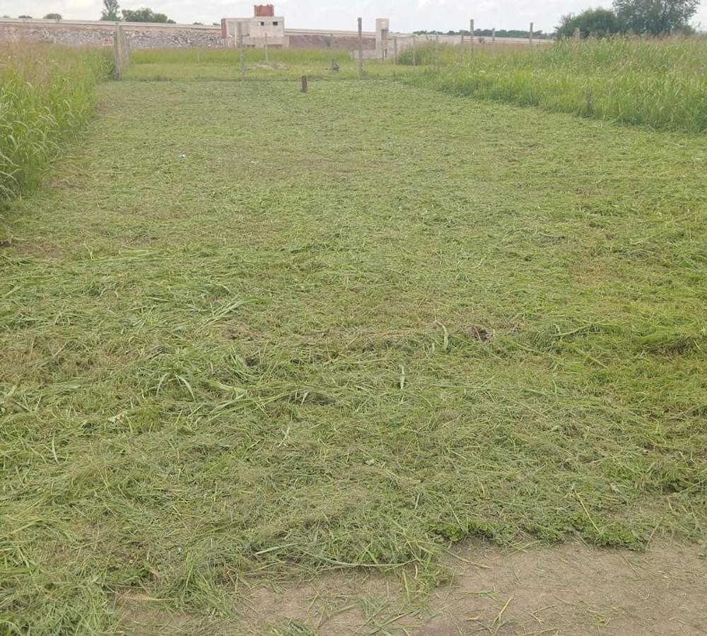 Foto de VENTA TERRENO EN LOMAS DE ANISACATE, imagen 2