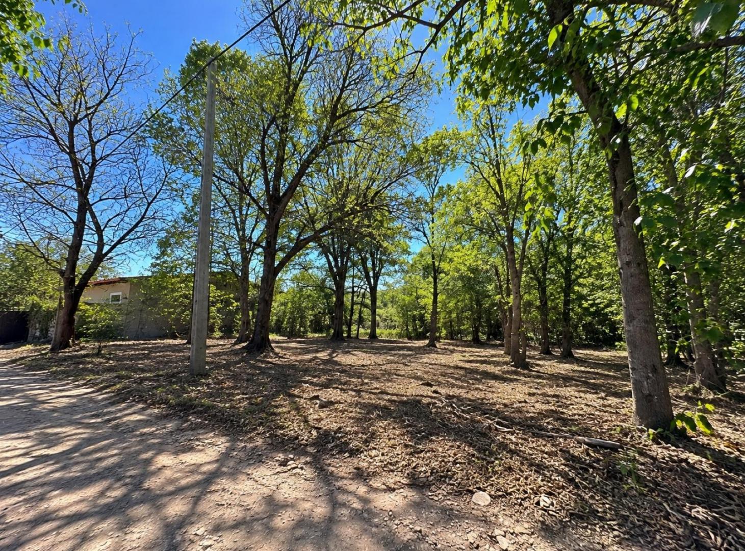 Foto de Terreno - El Condado, imagen 2