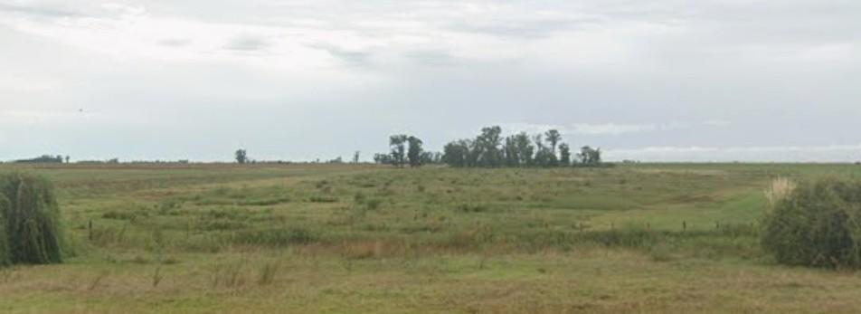 Foto de Campo en Morrison, imagen 2