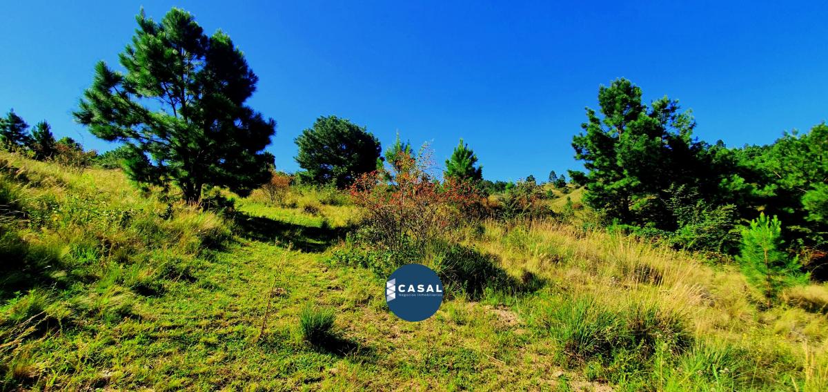 Villa Berna - 1 Hectárea - Escritura/ Luz y Agua - Ultimos de 10.000 m 2