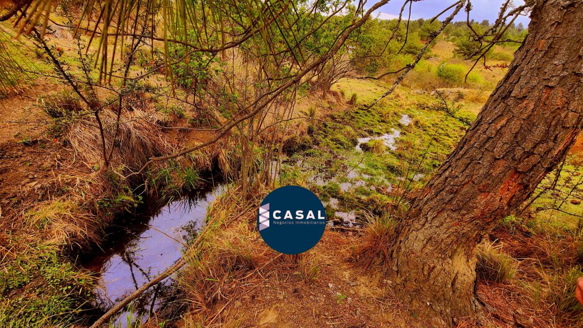 Villa Berna - 1 Hectárea - Escritura/ Luz y Agua - Ultimos de 10.000 m 1