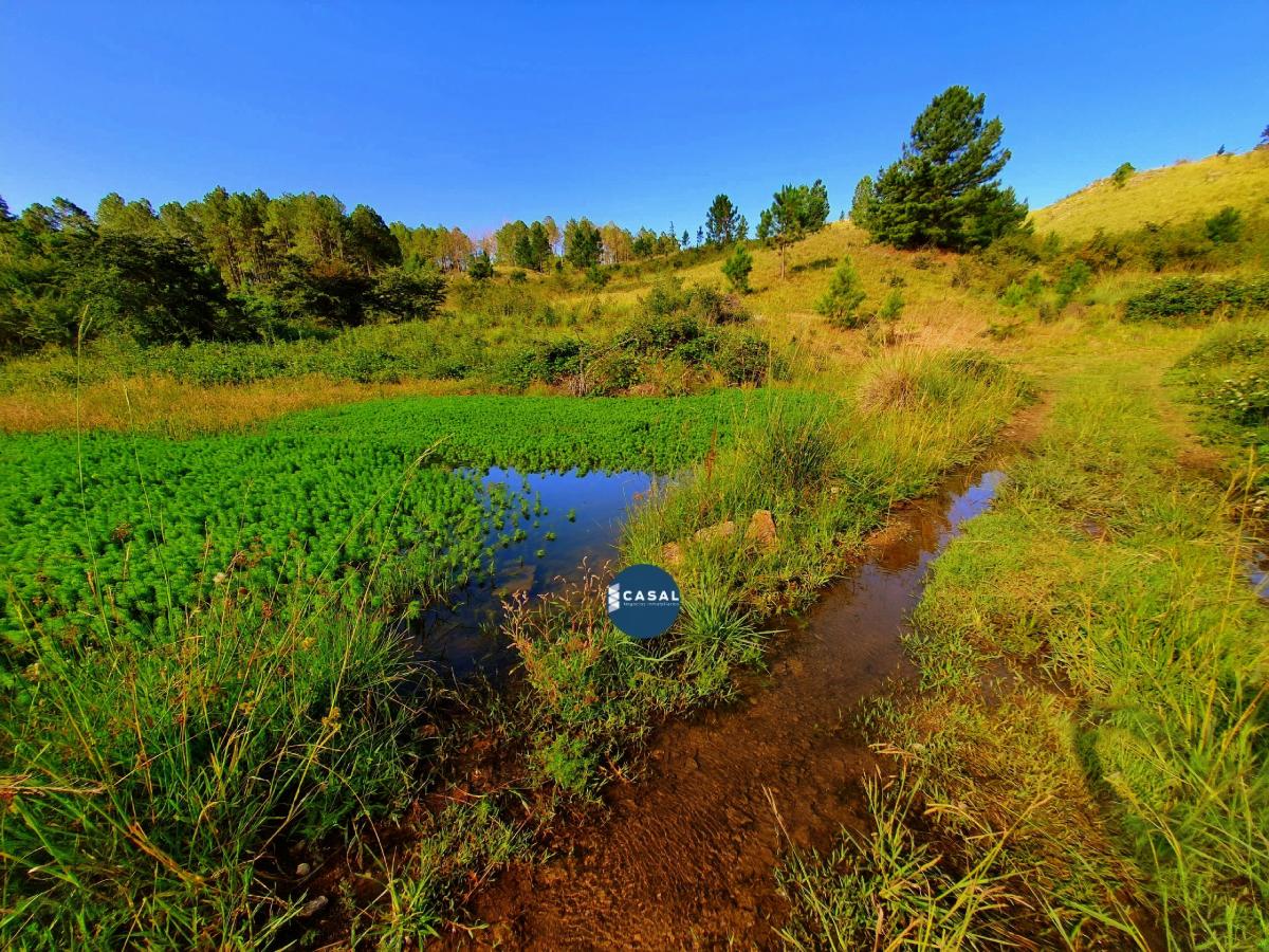 Villa Berna - 1 Hectárea - Escritura/ Luz y Agua - Ultimos de 10.000 m 4