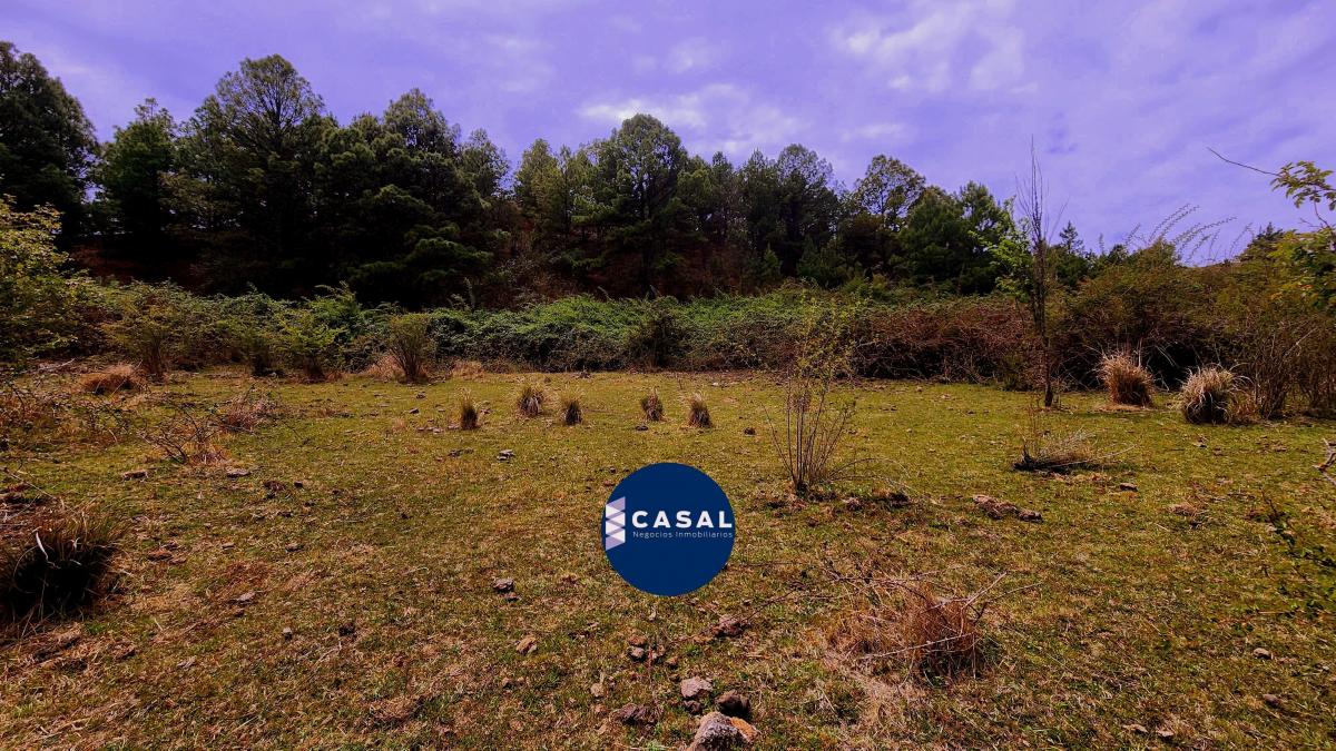 Villa Berna - 1 Hectárea - Escritura/ Luz y Agua - Ultimos de 10.000 m 5
