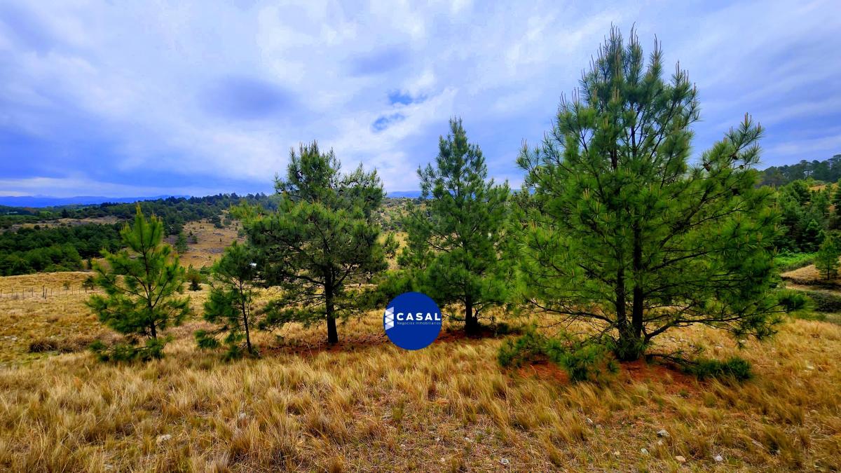 Villa Berna - 1 Hectárea - Escritura/ Luz y Agua - Ultimos de 10.000 m 3