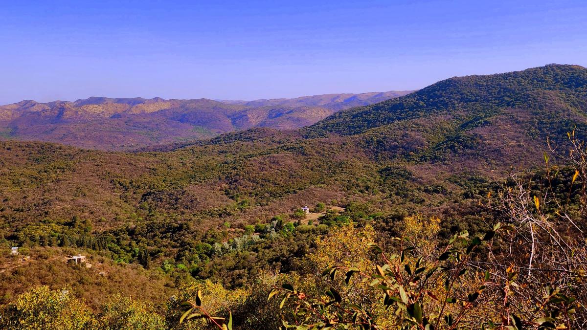 Foto de CABANA-SIERRAS DE CÓRDOBA- PROPIEDAD EXCLUSIVA EN 2 HECTÁREAS EN ALTURA, imagen 4