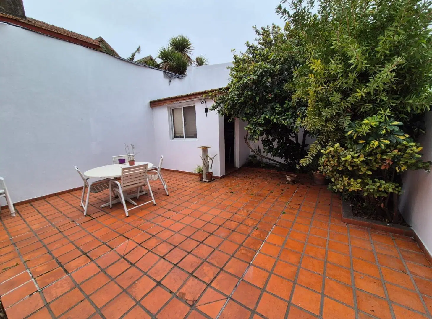 Venta casa tipo PH en olivos 3 dormitorios 4