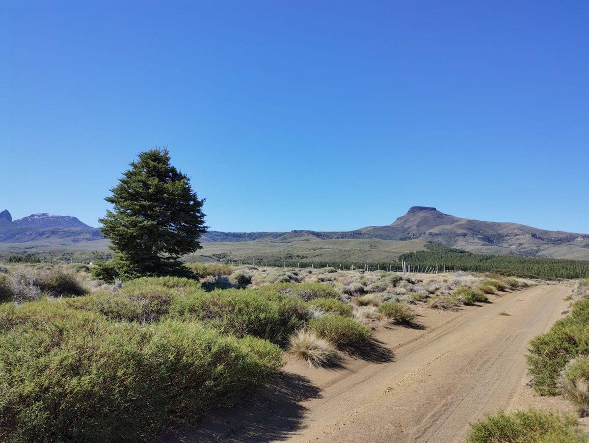 Huechulafquen Lote Escriturado Vistas Al Lanín 4