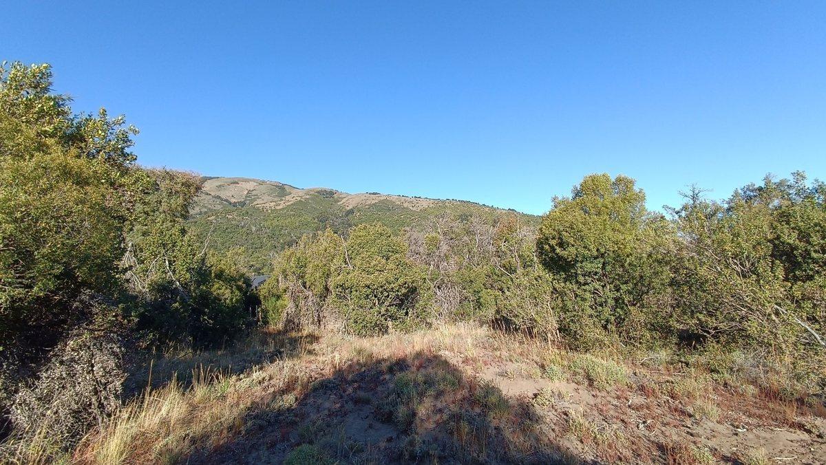 Lote Plano en Villa Quilquihue, Lolog 2
