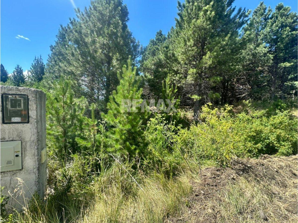 Lote en barrio cerrado El Desafío