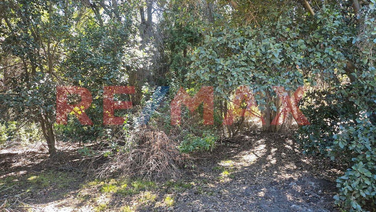 lote en venta a 200 metros del lago Meliquina