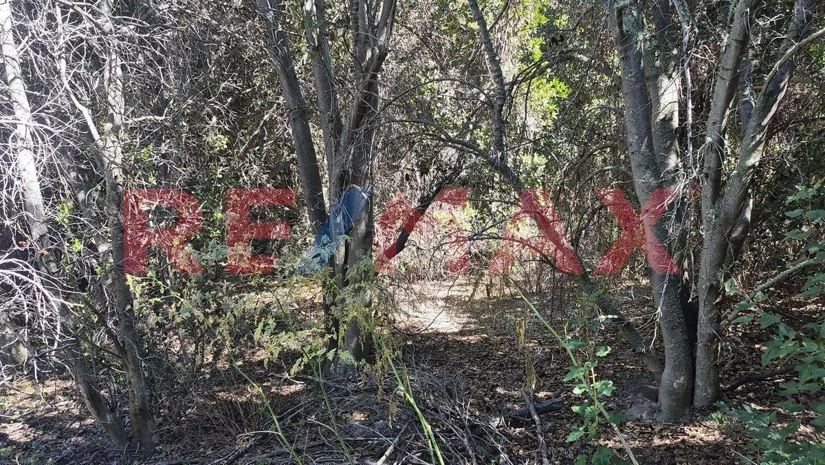 lote en venta a 200 metros del lago Meliquina 2
