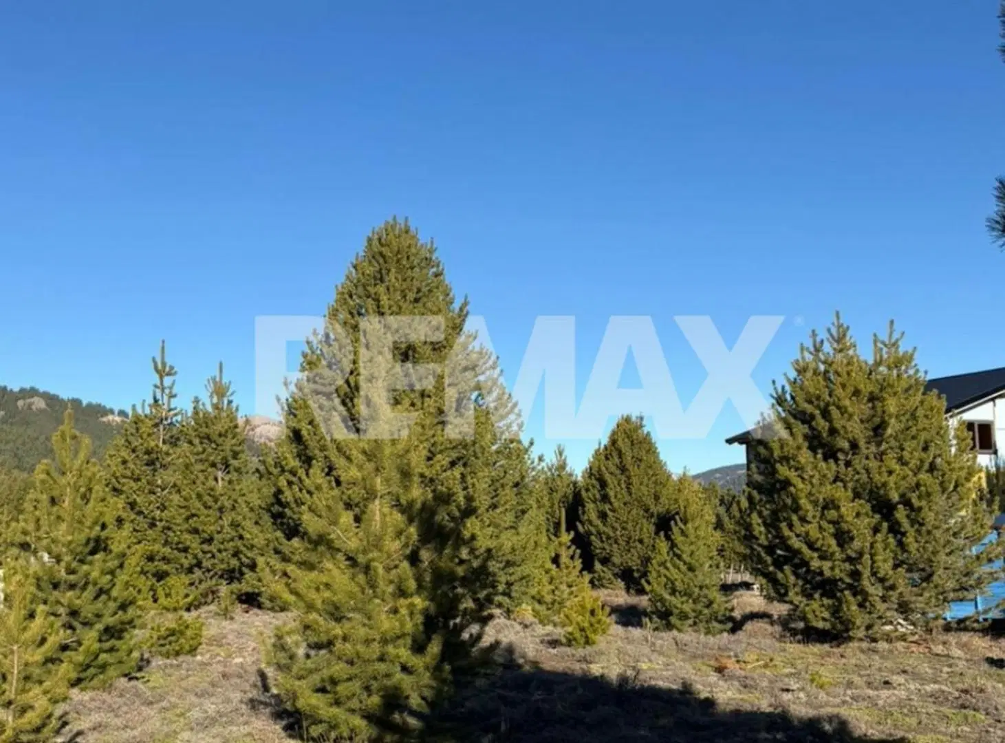 LOTE TERRENO MELIQUINA 1.000 M2 4
