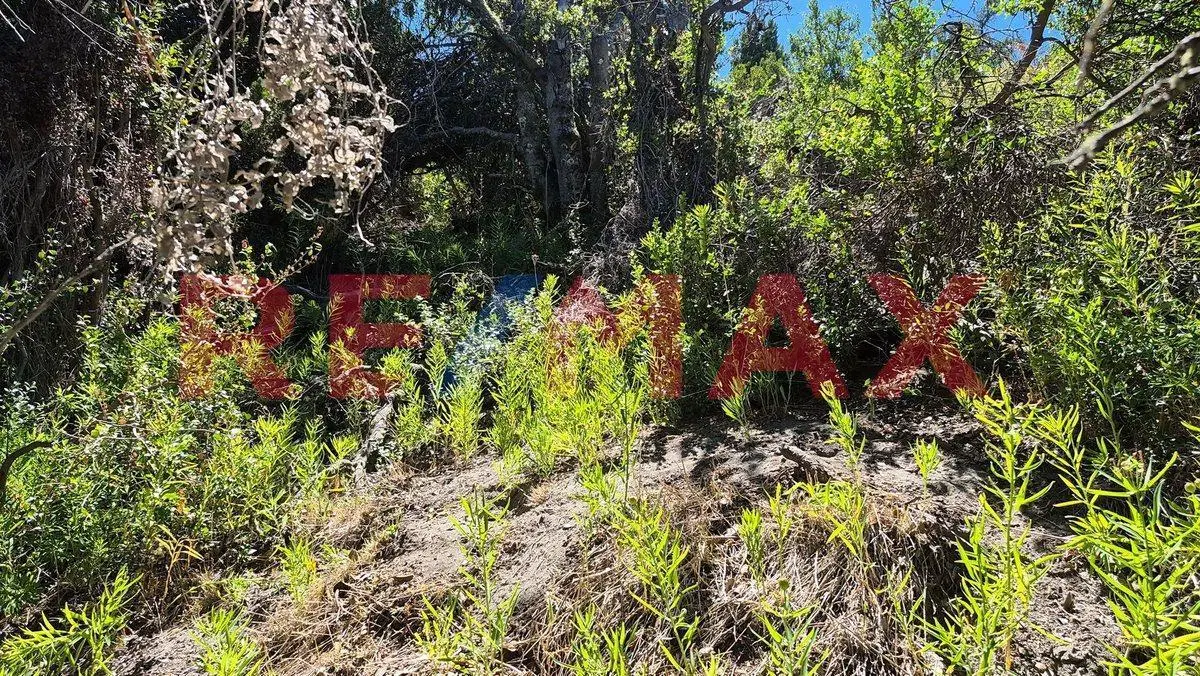 lote en venta a 200 metros del lago Meliquina 2