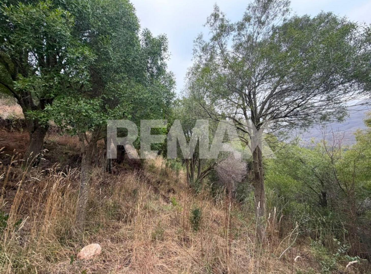 Foto de Lote en barrio Ruca Hue, imagen 5