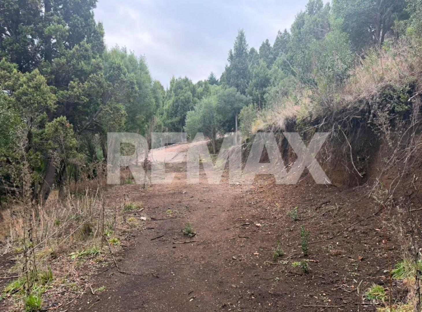 Foto de Lote en barrio Ruca Hue, imagen 5