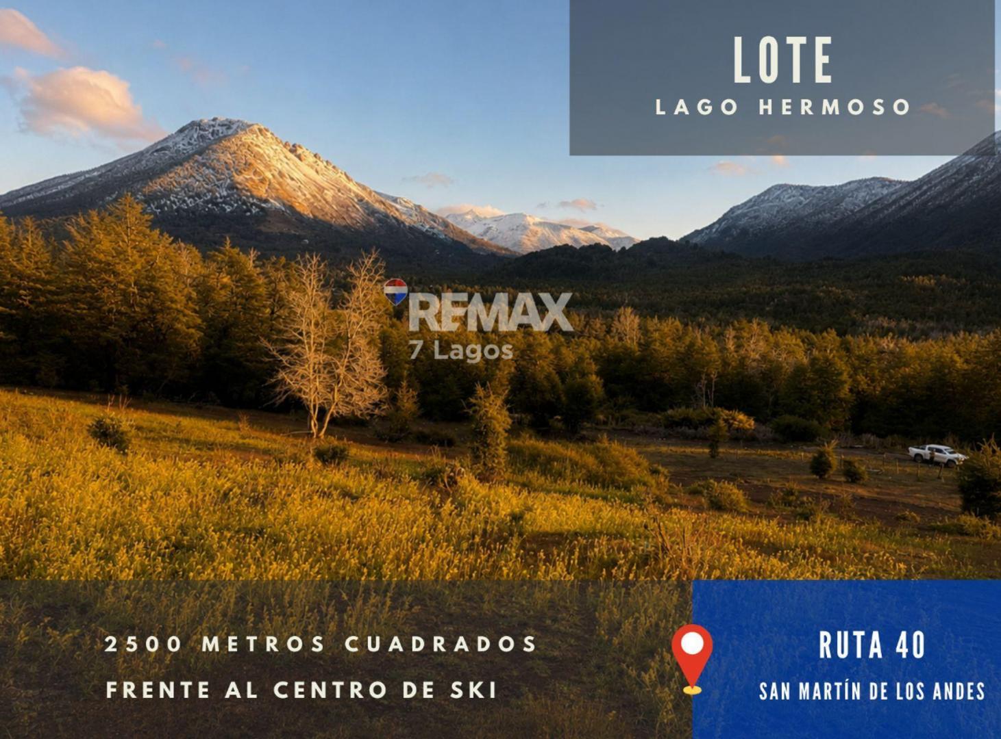 Foto de LOTE 2500 m2 FRENTE AL CENTRO DE SKI, RUTA 7 LAGOS, imagen 2