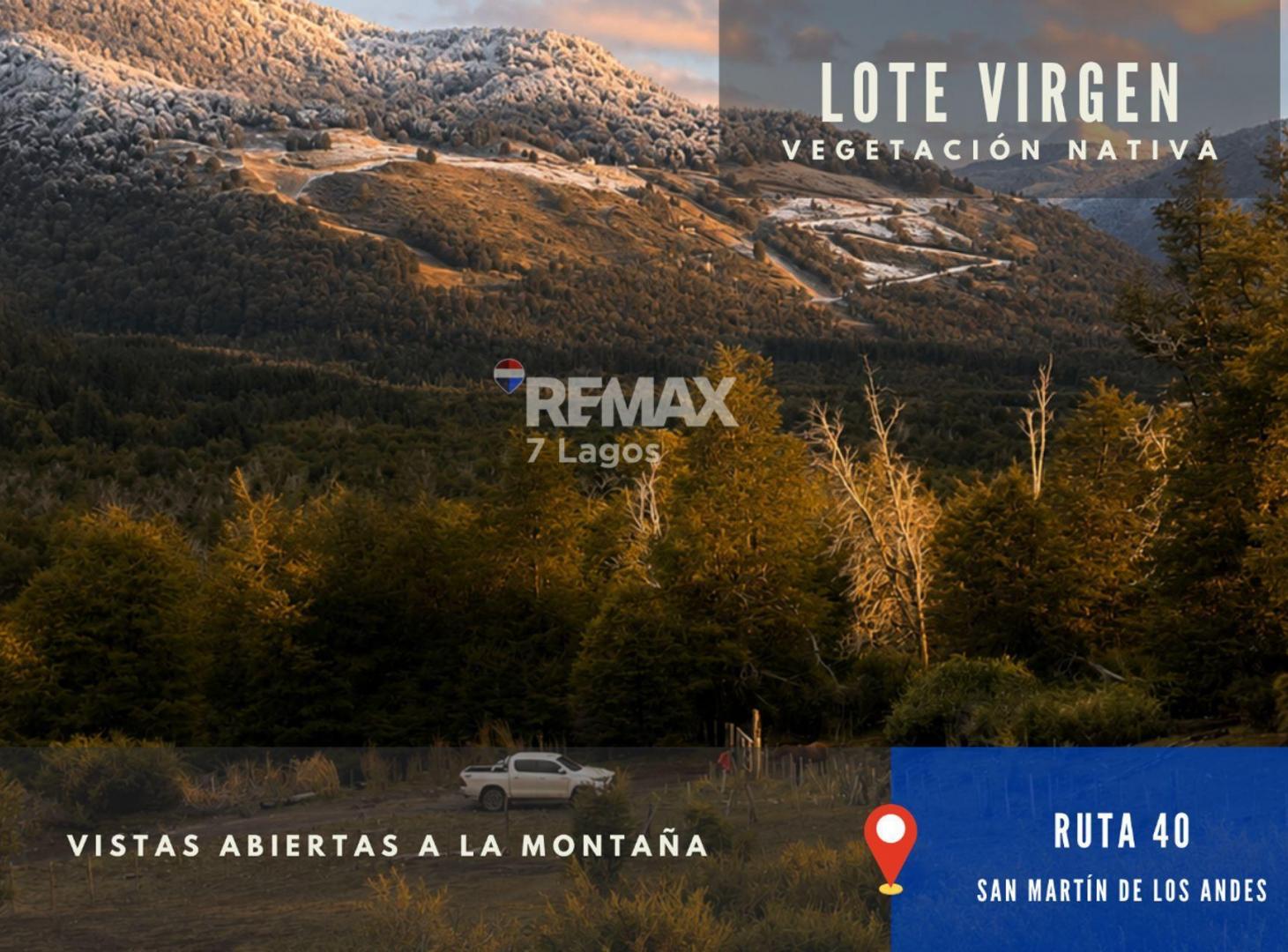 Foto de LOTE 2500 m2 FRENTE AL CENTRO DE SKI, RUTA 7 LAGOS, imagen 3