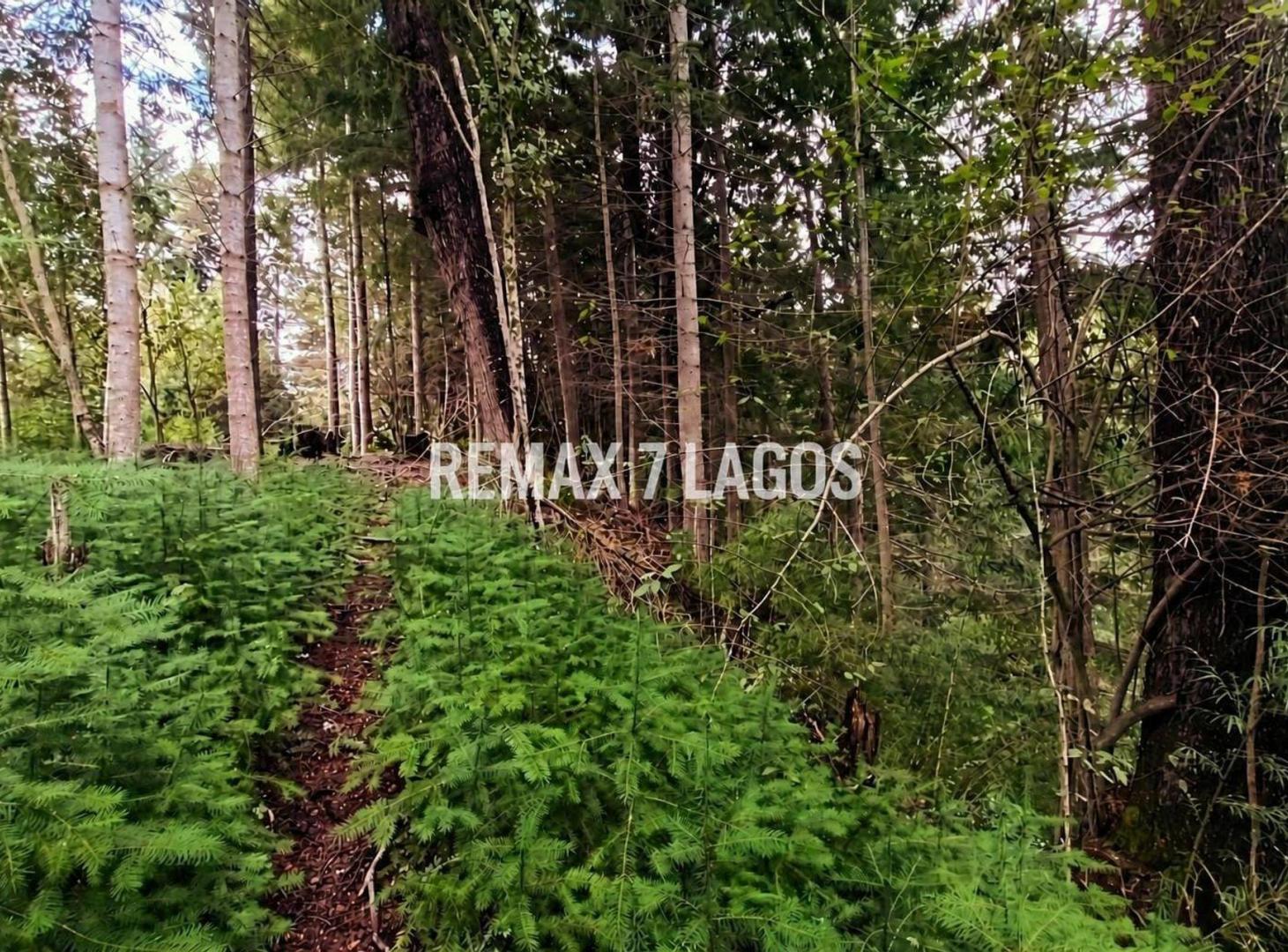 Foto de EQUIPO REMAX VENDE EXCELENTE TERRENO CON ARROYO, imagen 1