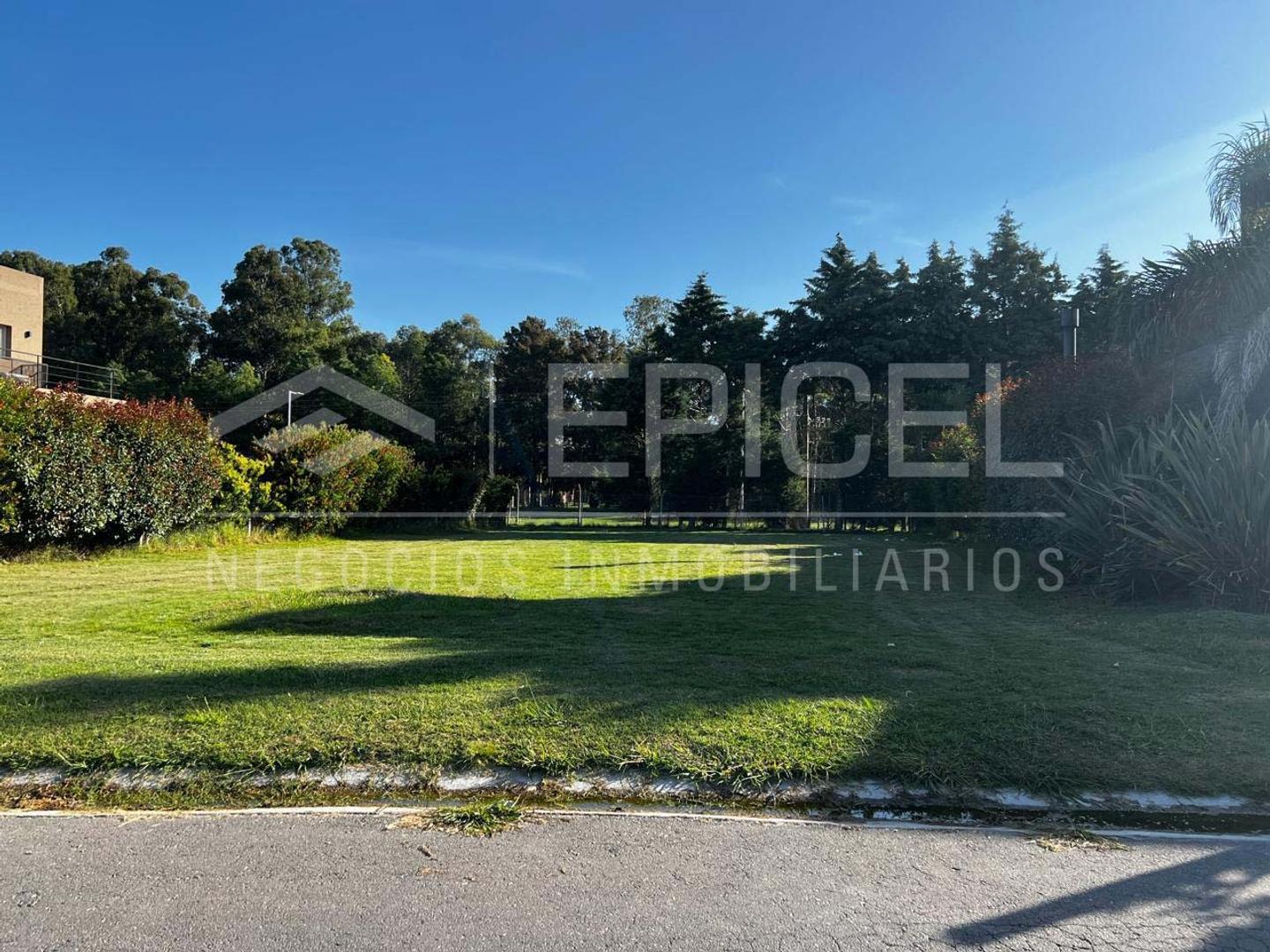 Foto de GRAN OPORTUNIDAD! ULTIMO LOTE EN VENTA LOS NARANJOS, imagen 3