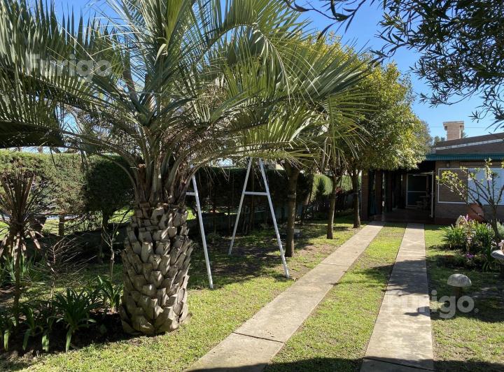 Casa en Zavalla 3