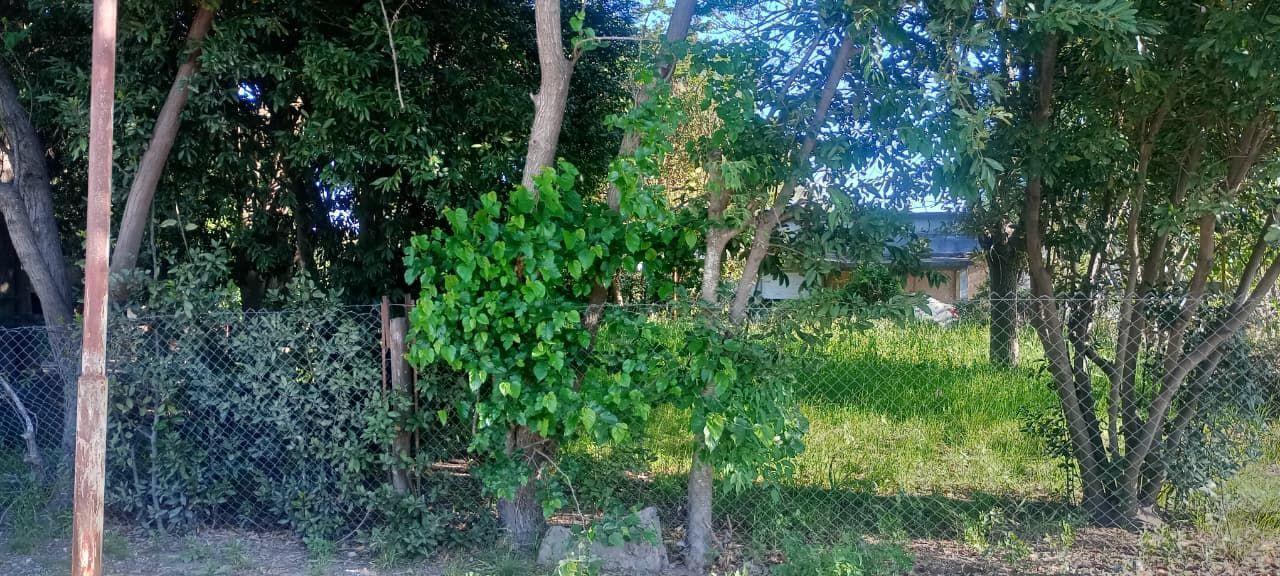 Foto de VENDE TERRENO EN ZAVALLA, imagen 1