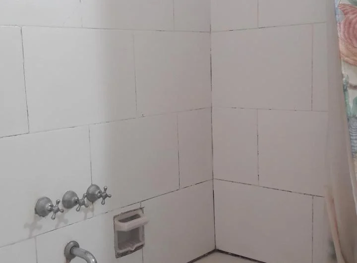 DEPARTAMENTO UN DORMITORIO PICHINCHA 1