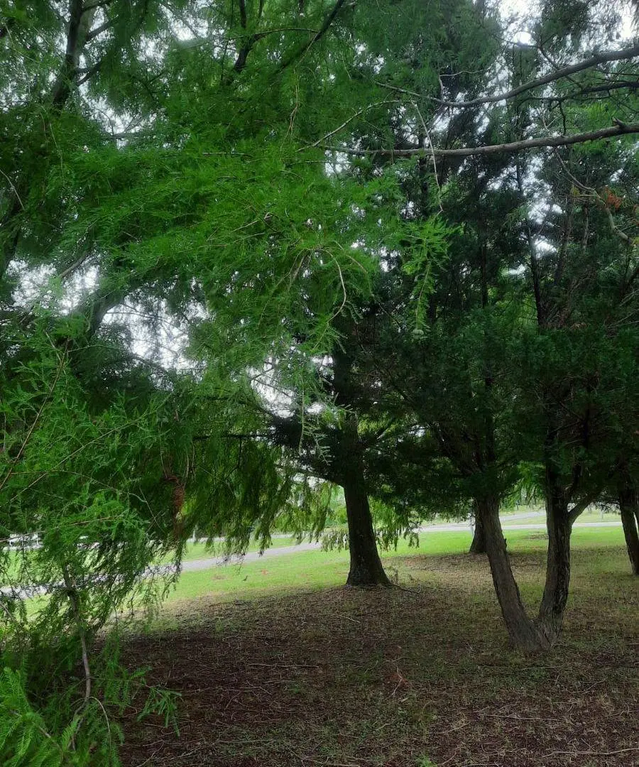 Terreno de 1040 m2 en venta en Roldán con Vigilancia 3