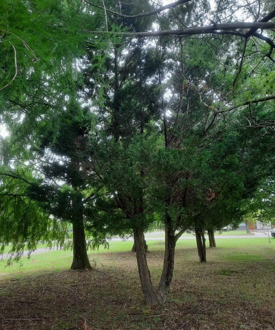 Terreno de 1040 m2 en venta en Roldán con Vigilancia 4