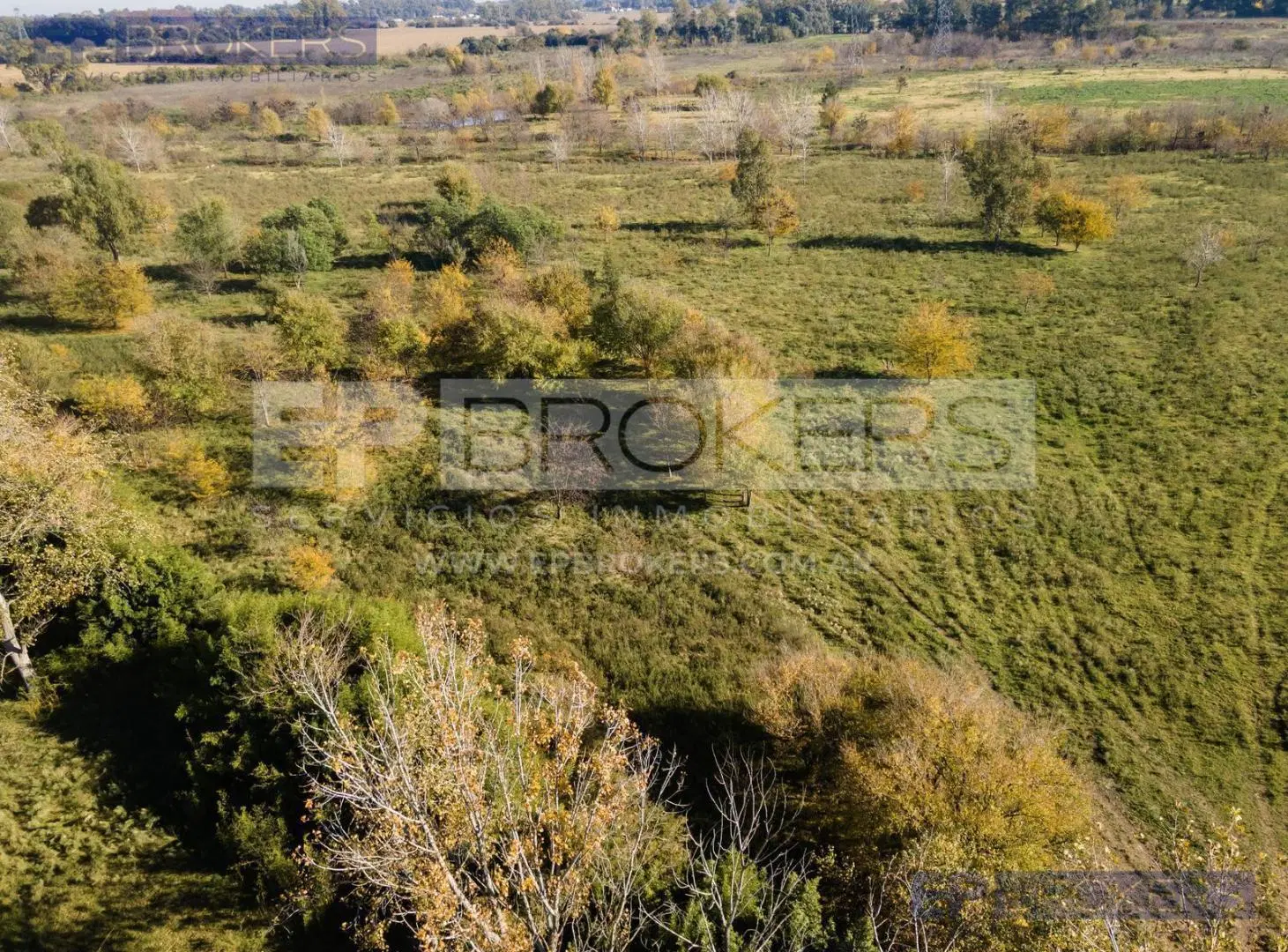 Terreno en Fátima 5