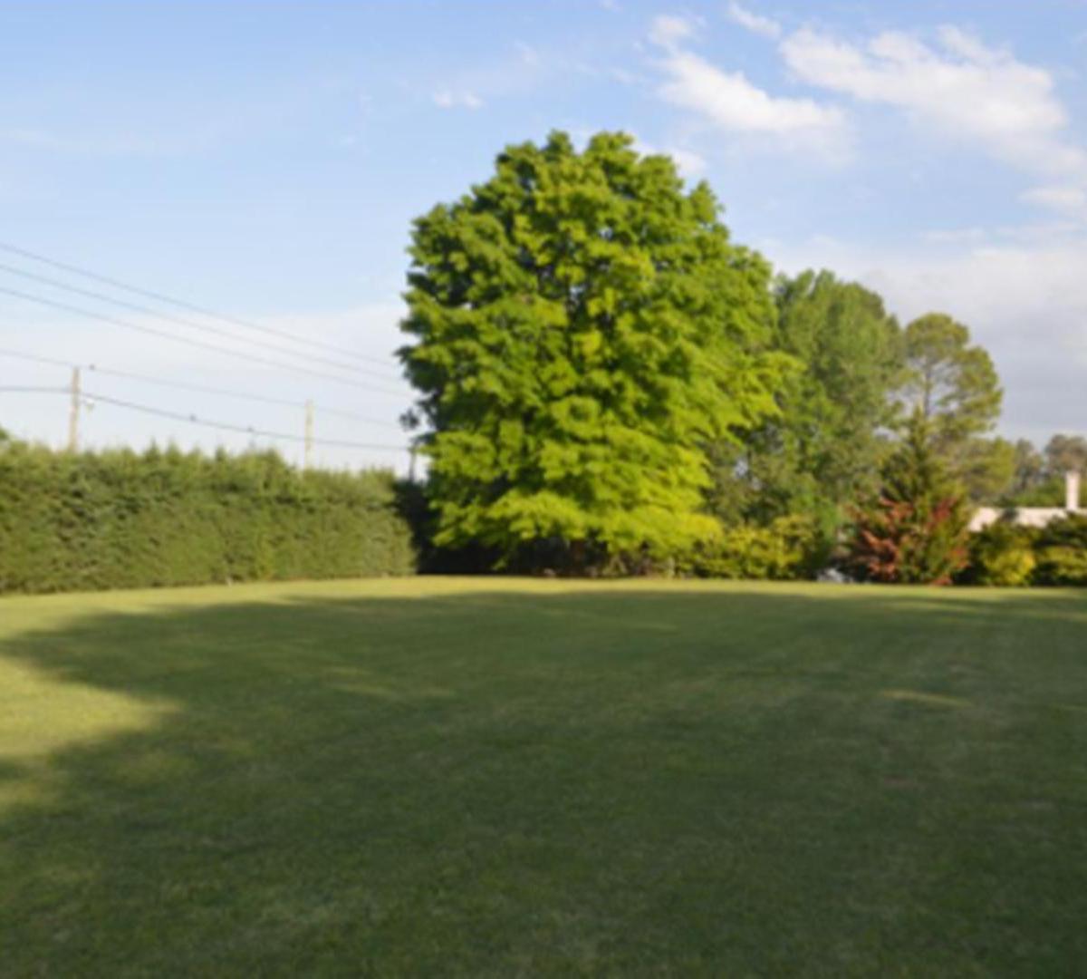 Lote Venta Moreno "San Diego" 5