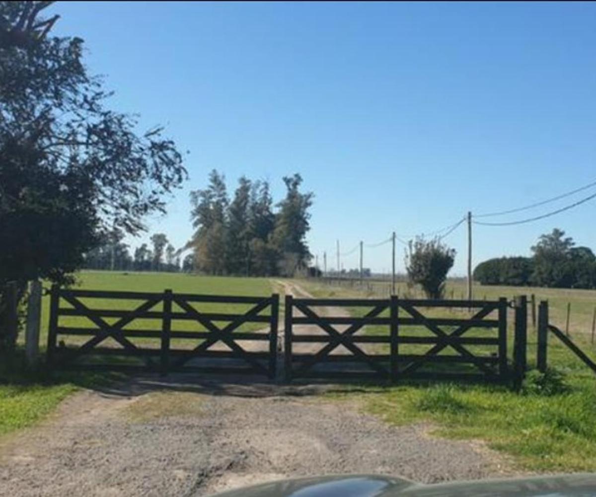 CAMPO VENTA GENERAL RODRIGUEZ