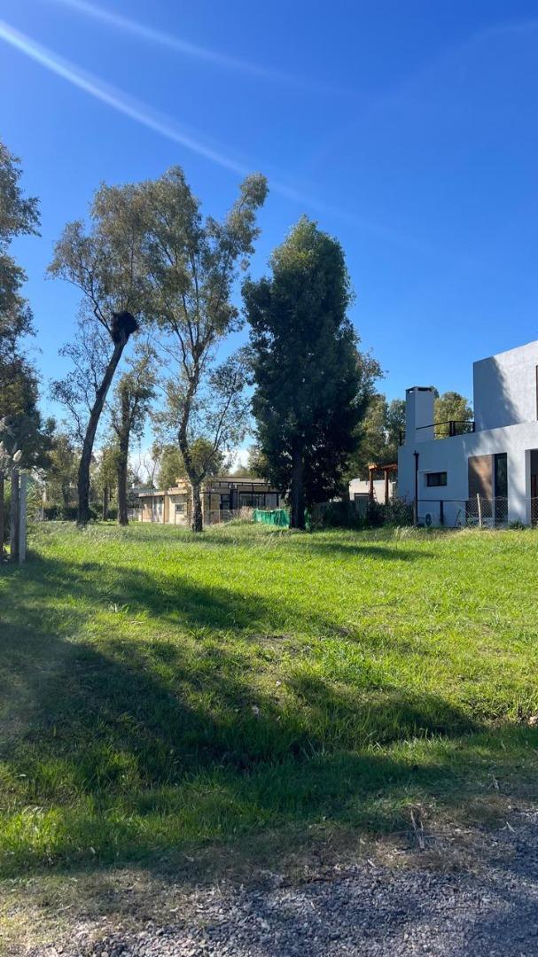 Foto de LOTE EN VENTA | ÁLVAREZ DEL BOSQUE – MORENO, imagen 2