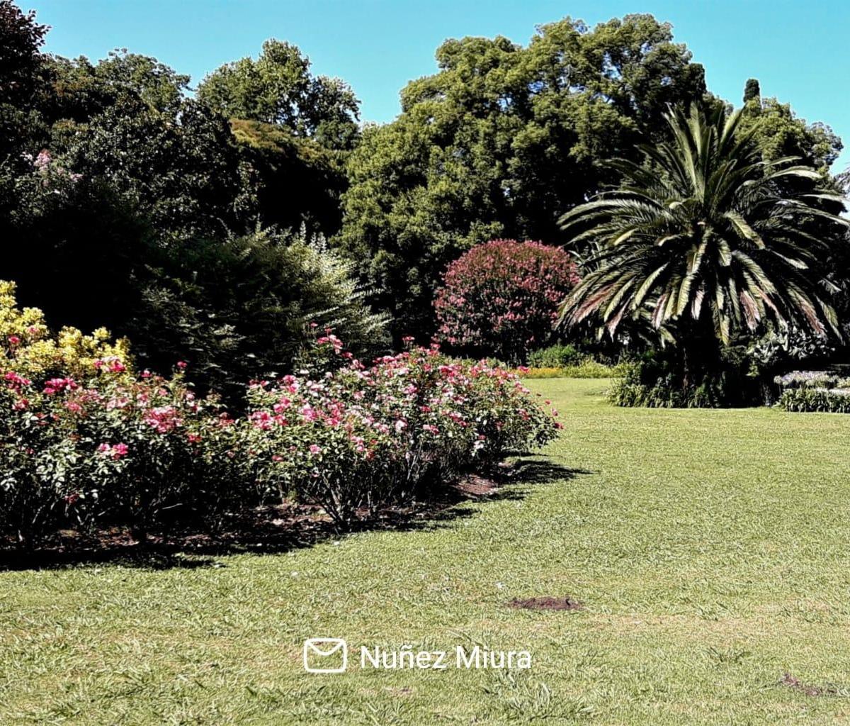 Benquerencia Farm Club - Chacra 364 4