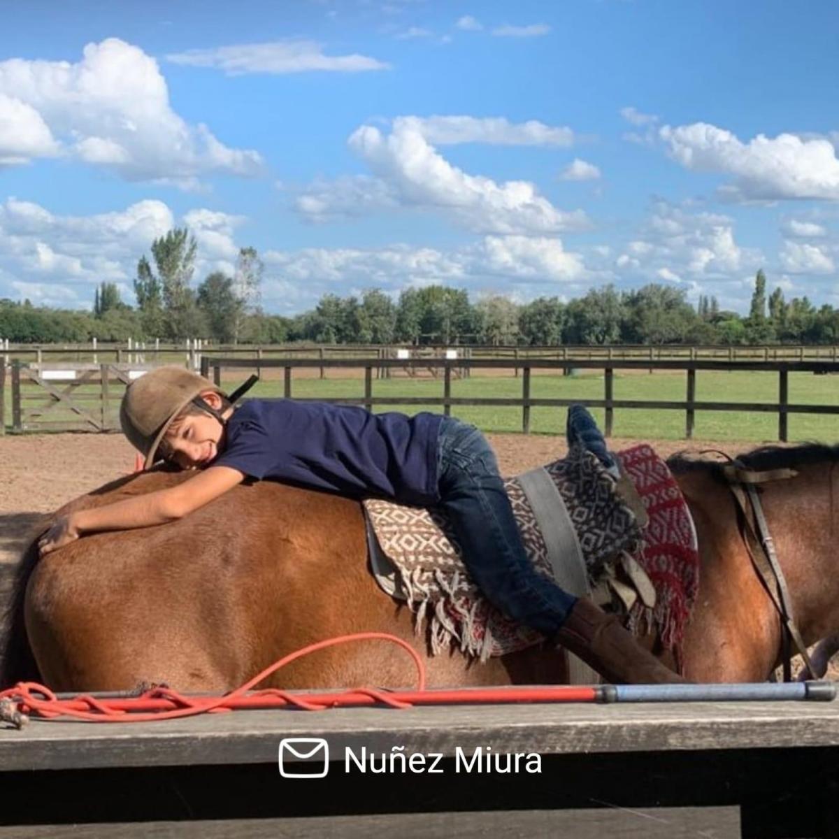 Benquerencia Farm Club - Chacra 364 5
