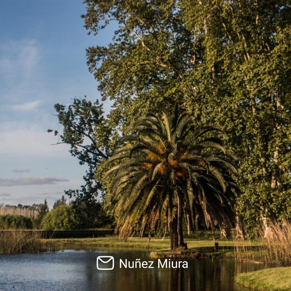 Benquerencia Farm Club - Chacra 364 3