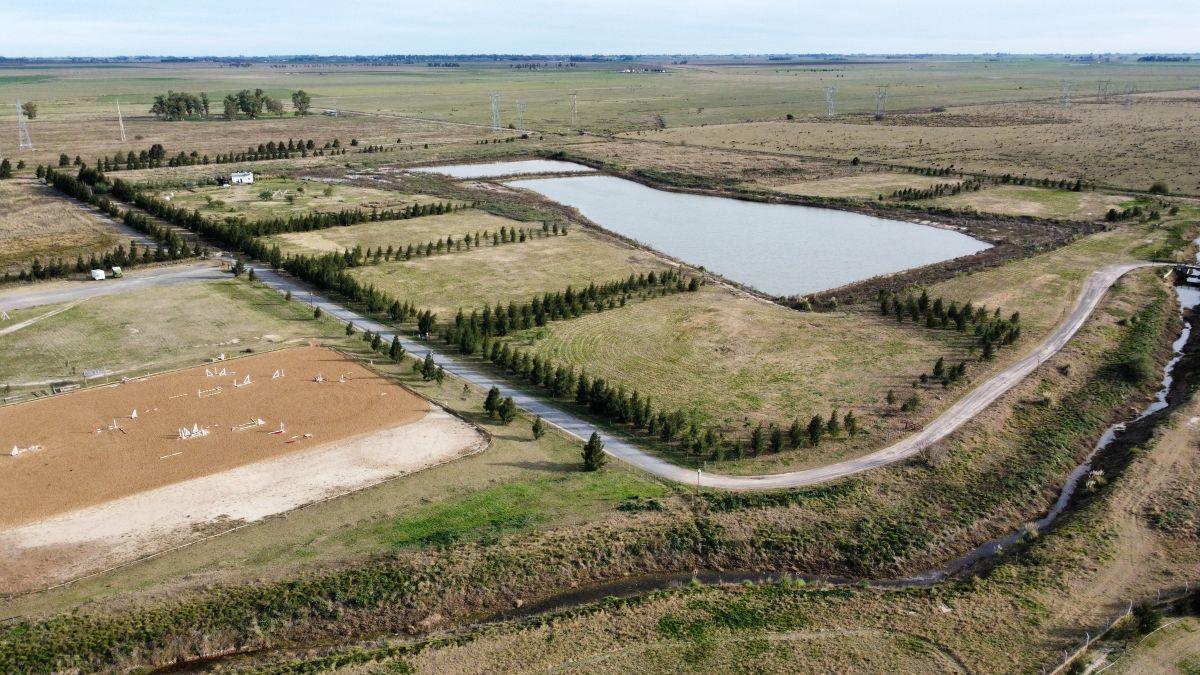 Foto de VENTA CHACRAS DE HARAS - Lotes de 1Ha pegados al barrio Privado Haras, imagen 3