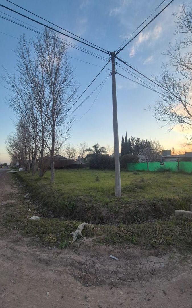 Foto de Terreno en venta en Tierra de Sueños 3, imagen 2