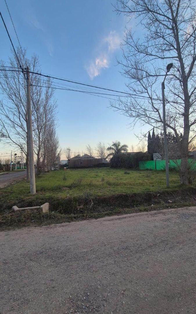 Foto de Terreno en venta en Tierra de Sueños 3, imagen 4
