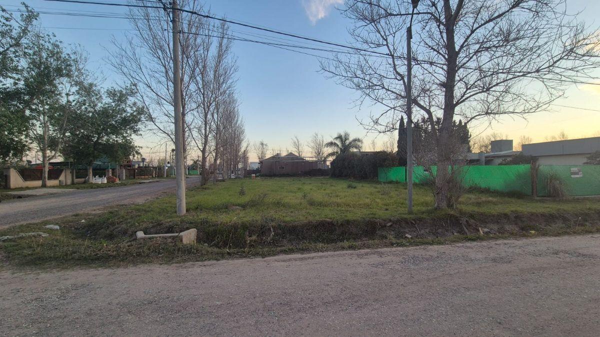 Foto de Terreno en venta en Tierra de Sueños 3, imagen 3