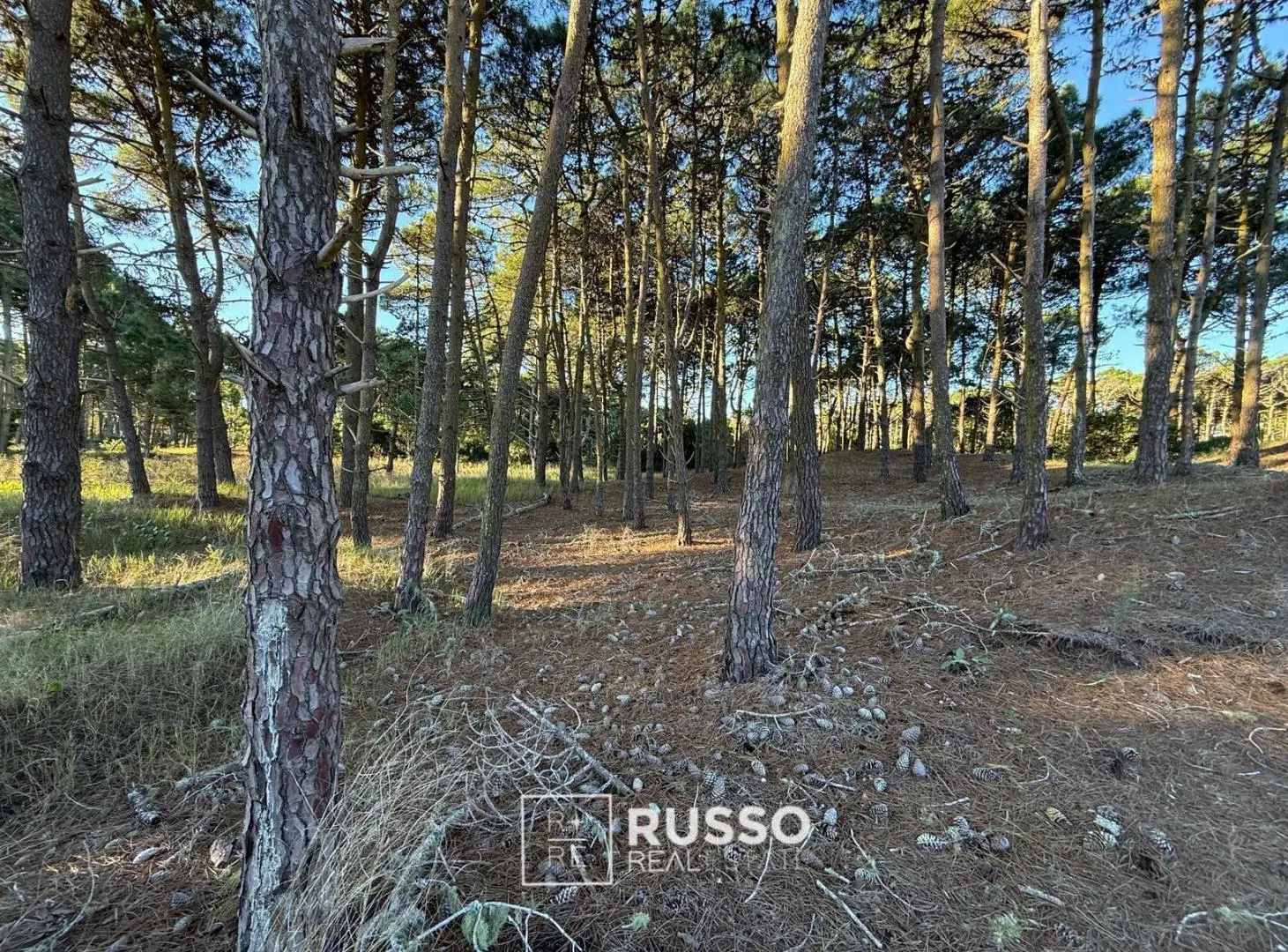 LOTE EN VENTA -  BOSQUES BARRIO TAMARISCO PINAMAR 5