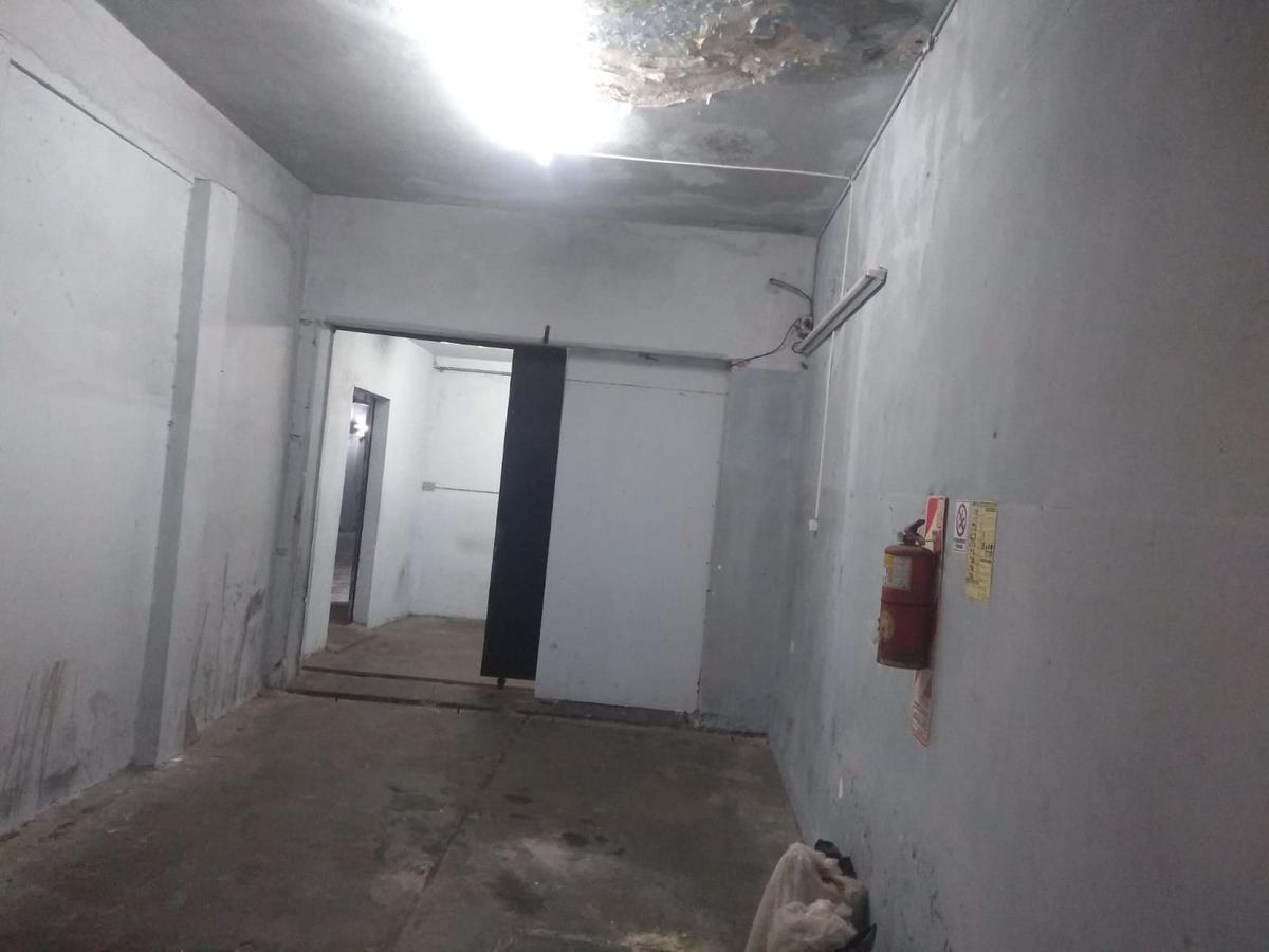 Francisco Bilbao 4700 - Galpón 8.66 X 36 - Parque Avellaneda 3