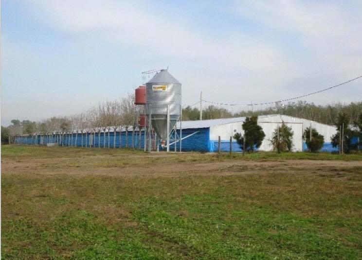 OPORTUNIDAD! EXCELENTE GRANJA DE 10 HECTÁREAS CAÑUELAS
