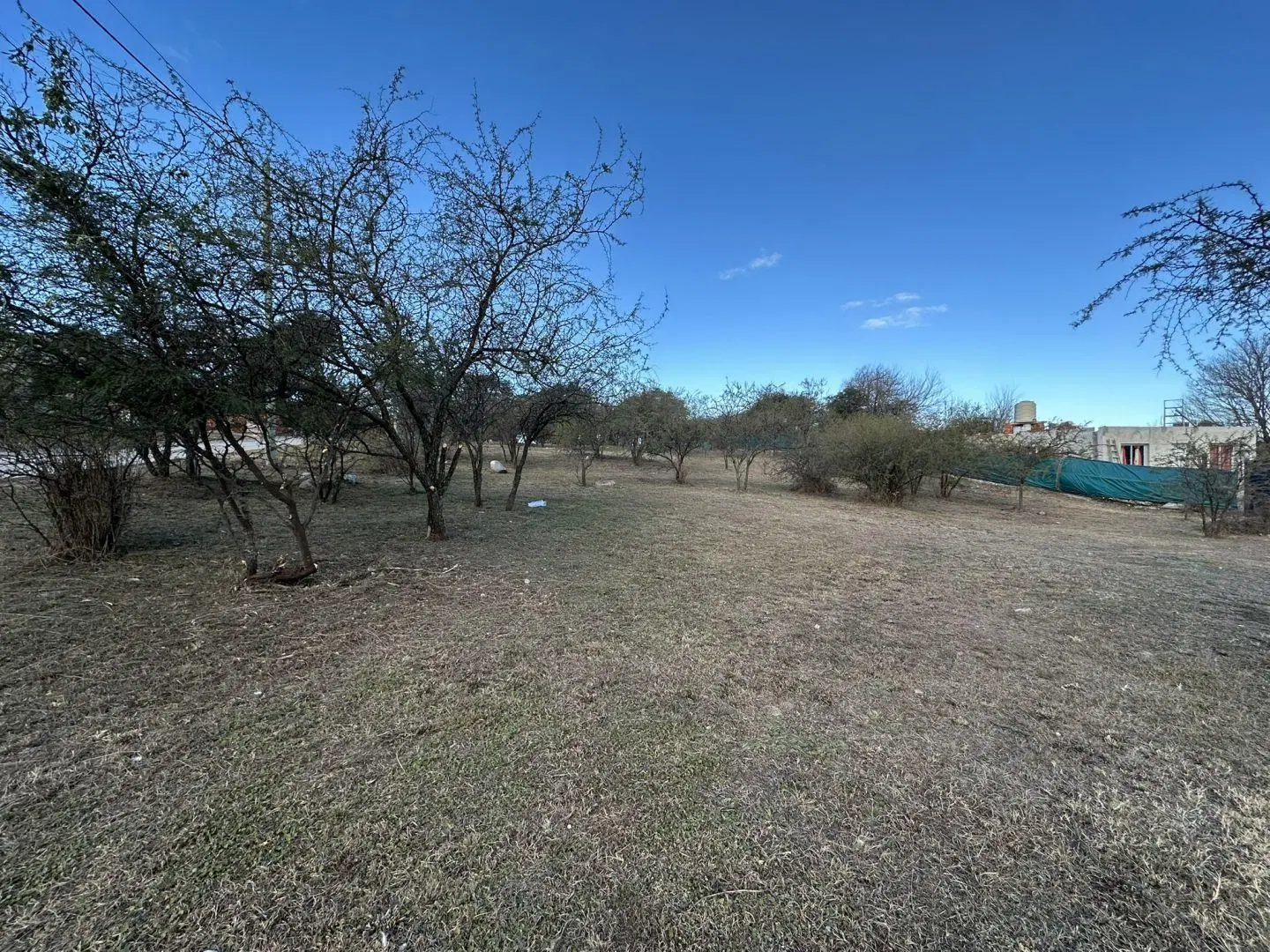 Lote . | Gustavo Centeno al 100 5