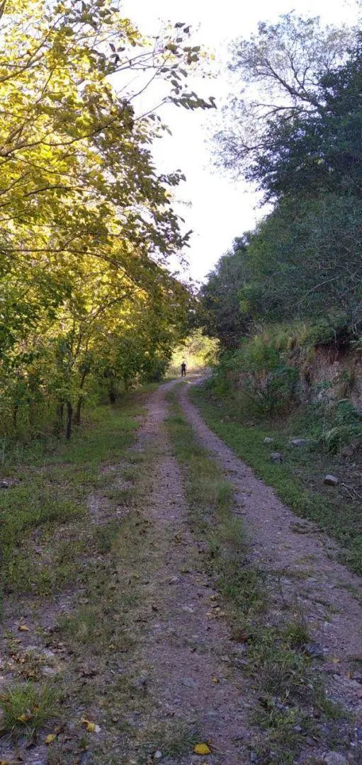 Lote . | camino  san marcos 2
