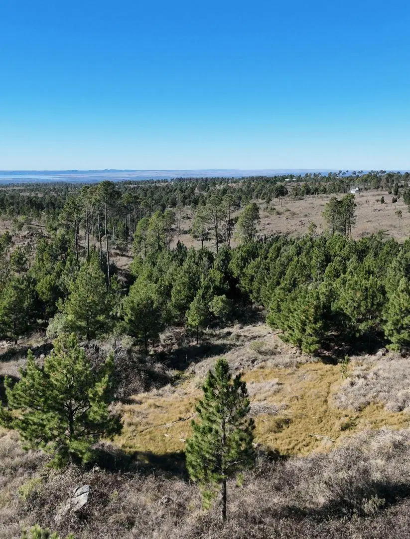 Lote . | Villa Yacanto 5
