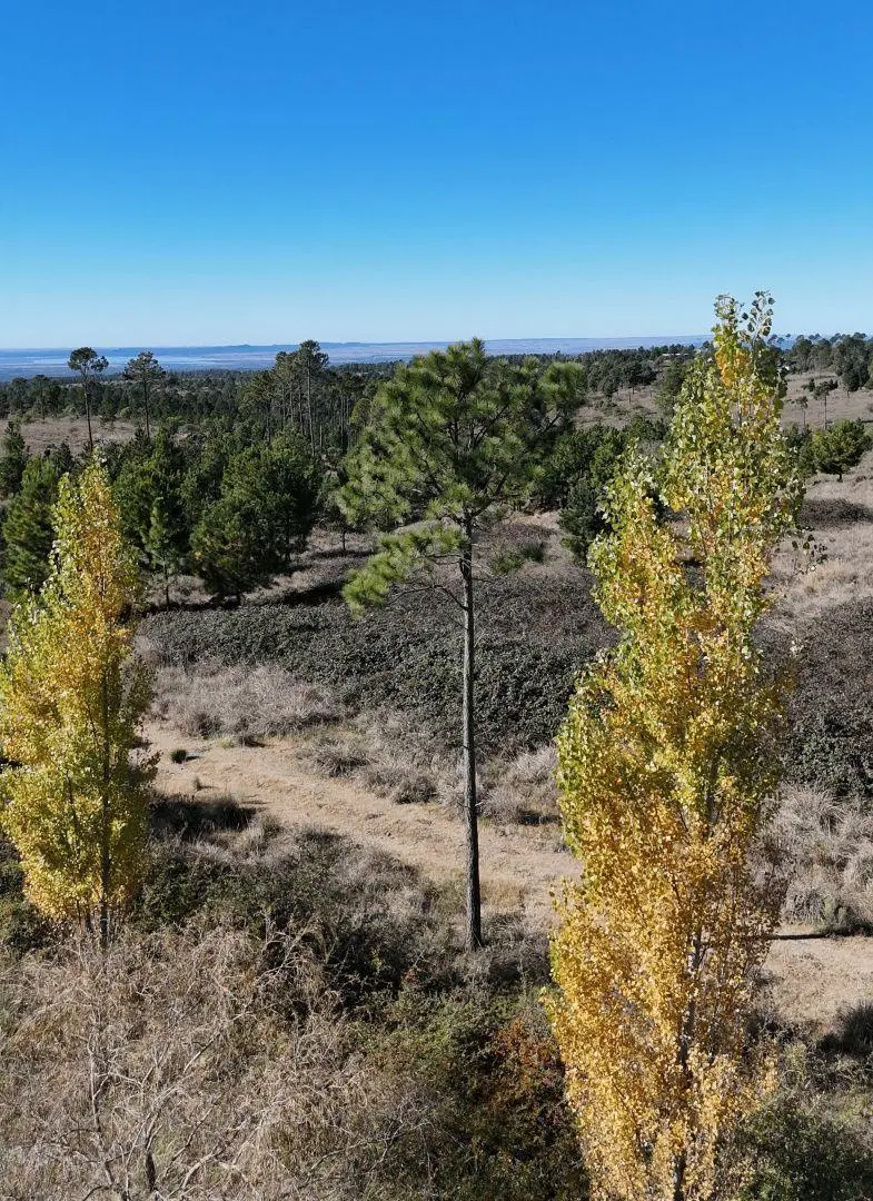 Lote . | Villa Yacanto 3