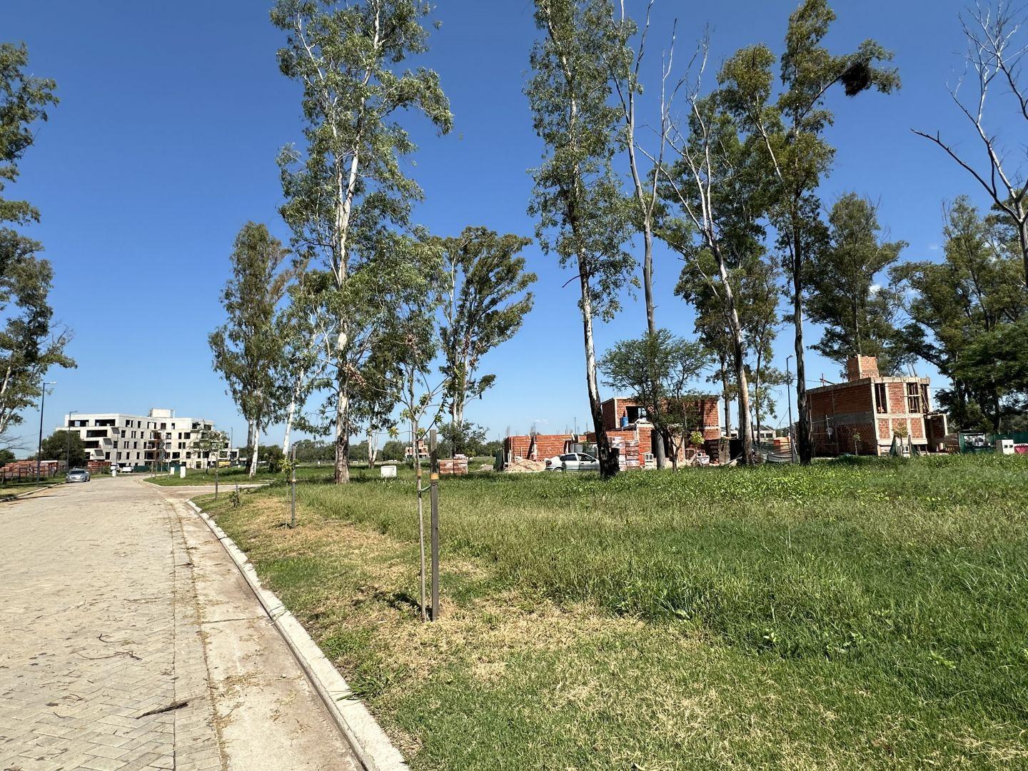 Foto de Lote . | Ruta Nacional 20 - Colectora, imagen 2