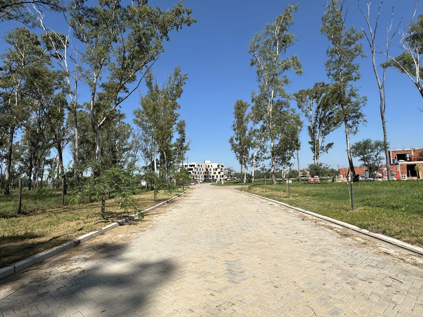 Foto de Lote . | Ruta Nacional 20 - Colectora, imagen 5