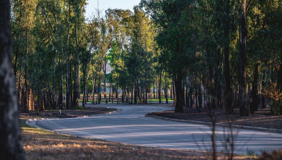 Foto de Lote . | Ruta Nacional 20 - Colectora, imagen 3